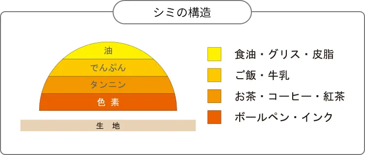 シミの構造